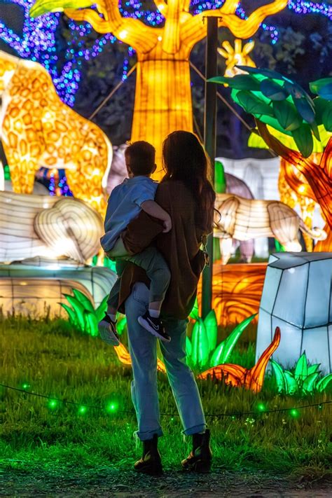 GLOWING WILD LANTERN FESTIVAL AT TURTLE BAY .